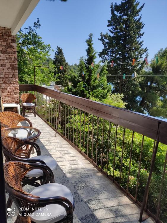 Apartment Botanicheskiy Sad سوتوموري المظهر الخارجي الصورة