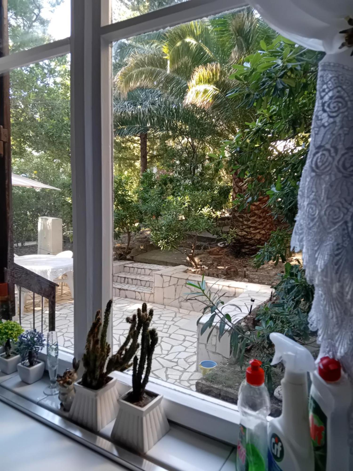 Apartment Botanicheskiy Sad سوتوموري المظهر الخارجي الصورة
