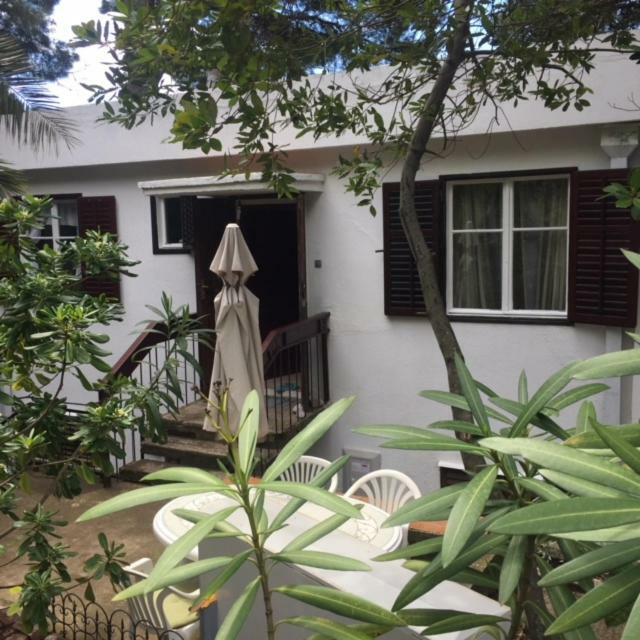Apartment Botanicheskiy Sad سوتوموري المظهر الخارجي الصورة